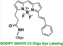 Bio-Synthesis Inc. Oligo Structure